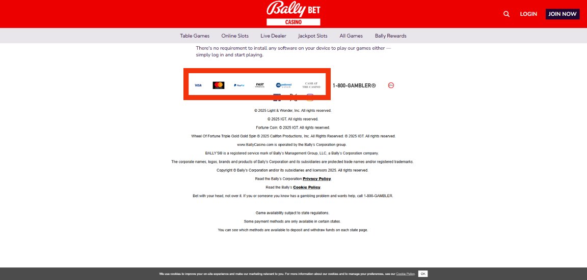 A screenshot of Bally Casino's payment methods