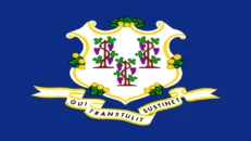 The state flag of Connecticut