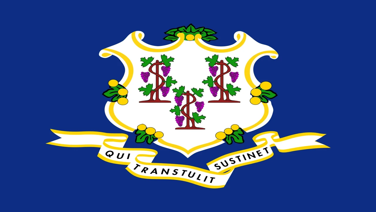 The state flag of Connecticut