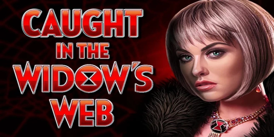 An image of Caught in the Widow's Web game from High 5 Games