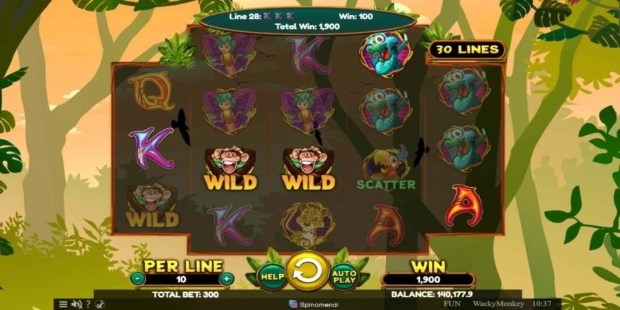 An image of Wacky Monkey game of Spinomenal