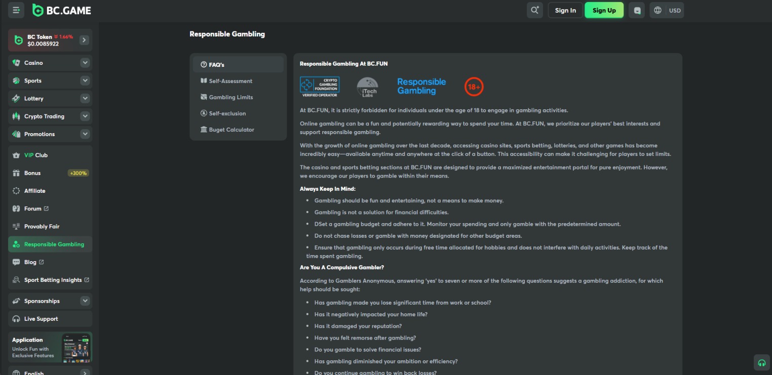 A screenshot of BCGame.us' responsible gambling page