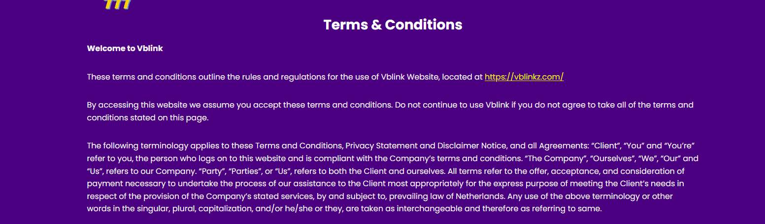 Vblink Terms & Conditions page explaining website use and acceptance terms.