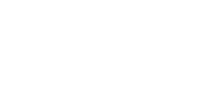 Stake.us Logo