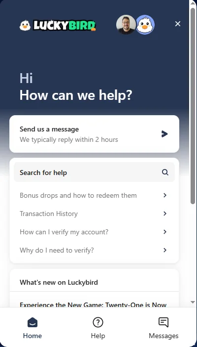 A screenshot of Luckybird.io's live chat modal